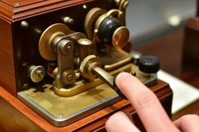 Illustration snapper - Image 1