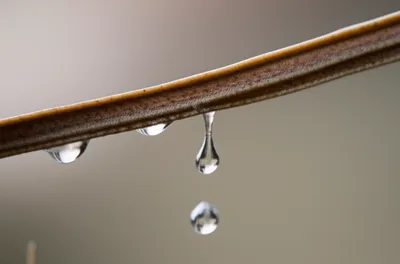 Illustration dribble - Image 1