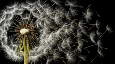 Illustration explosions - Image 1