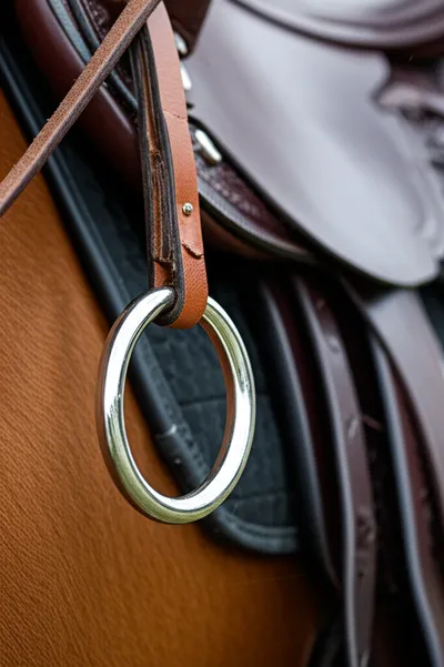 Illustration stirrup