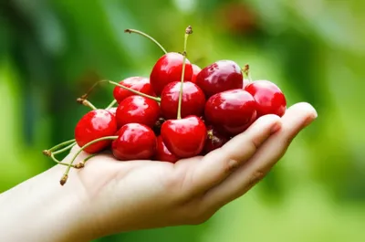 Illustration grip - Image 1