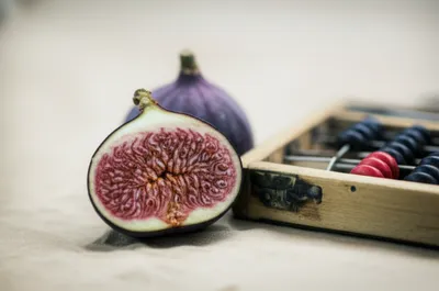 Illustration fig - Image 1