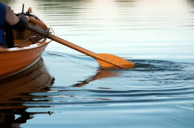 Illustration sculls - Image 1