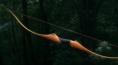 Illustration yew - Image 1