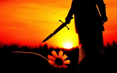 Illustration revanche - Image 1