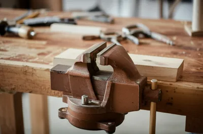 Illustration clams - Image 1