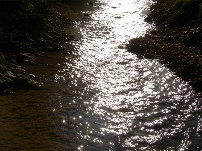 Illustration unclogged - Image 1