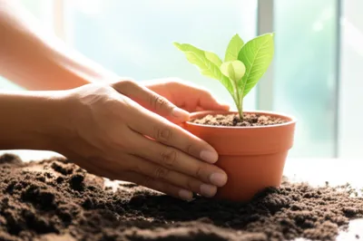 Illustration take - Image 1