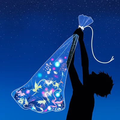 Illustration shoestring - Image 1