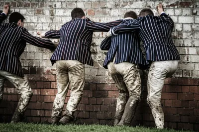 Illustration calx - Image 1