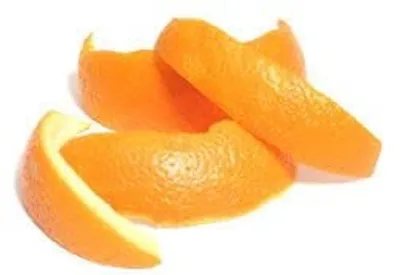 Illustration rind - Image 2