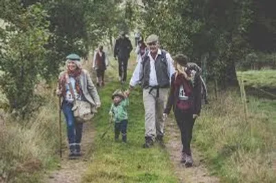 Illustration jaunt - Image 2