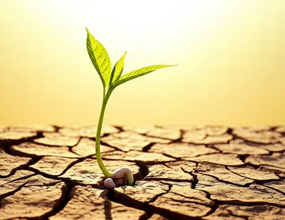 Illustration begins - Image 1