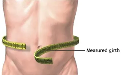 Illustration girth - Image 2