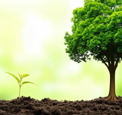 Illustration level - Image 1