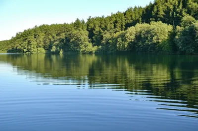 Illustration mirroring - Image 1