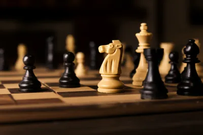 Hình ảnh minh họa man - Ảnh 1