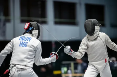 Illustration fences - Image 1