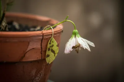 Illustration crazy - Image 1