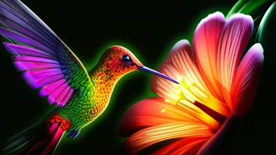 Illustration takes - Image 1