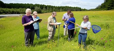 Illustration fieldwork - Image 1