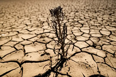 Illustration sterilize - Image 1