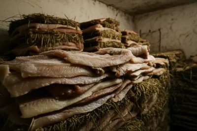 Illustration dunned - Image 1