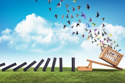 Illustration ripples - Image 1