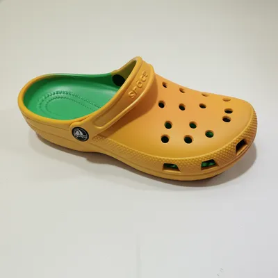 Illustration croc - Image 1