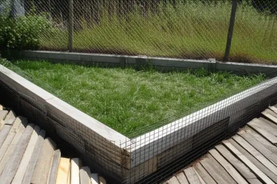 Illustration fencing - Image 1