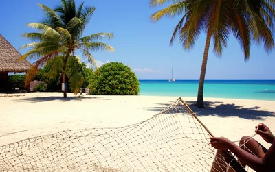 Illustration islanders - Image 1