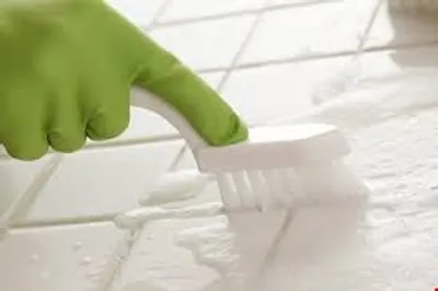 Illustration scrub - Image 4