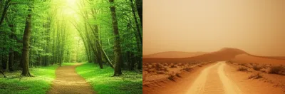 Illustration para - Image 1