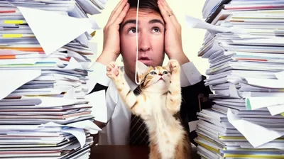 Illustration preoccupy