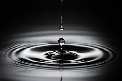 Illustration drop - Image 1