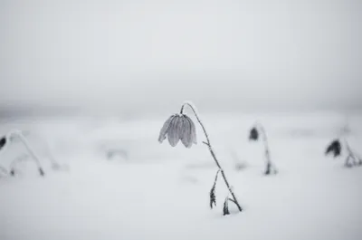 Illustration colder - Image 1