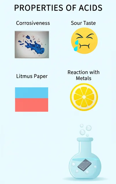 Illustration acids - Image 2