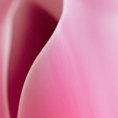 Illustration slit - Image 1