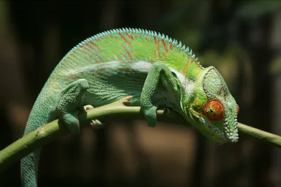 Illustration relative - Image 1