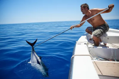 Illustration gaff - Image 1