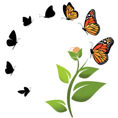 Illustration evolving