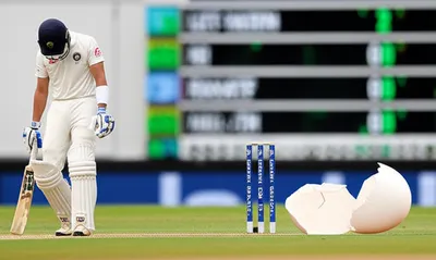 Illustration ducks - Image 1