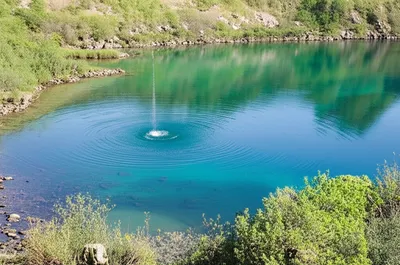 Illustration pond - Image 1