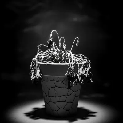 Illustration torturing