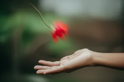 Illustration misses - Image 1