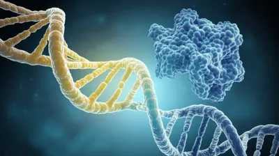 Illustration sense - Image 1