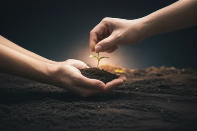 Illustration pays - Image 1