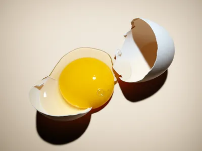 Hình ảnh minh họa try - Ảnh 1