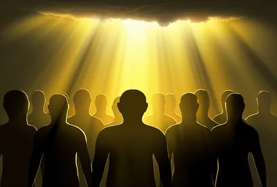 Illustration elects - Image 1