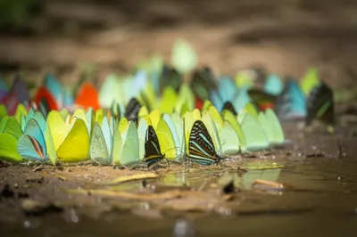 Illustration puddle - Image 1